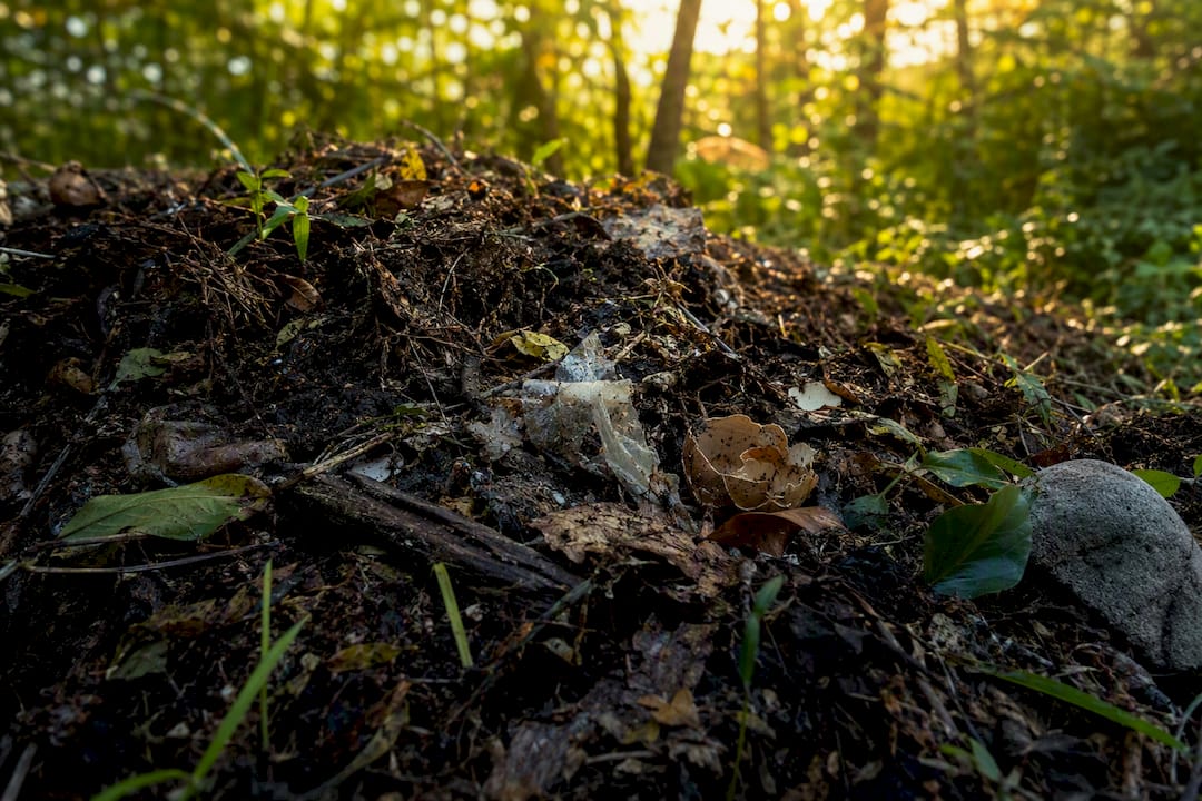 PLA fragments decomposing in natural compost heap